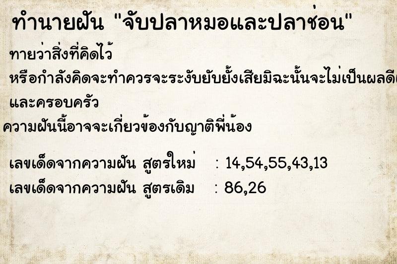 ทำนายฝันจับปลาหมอและปลาช่อน ทำนายฝันทำนายฝันจับปลาหมอและปลาช่อน