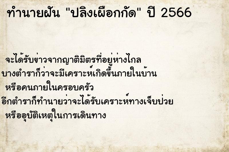 ทำนายฝัน ปลิงเผือกกัด ทำนายฝัน ปลิงเผือกกัด