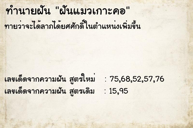 ทำนายฝันฝันแมวเกาะคอ ทำนายฝันทำนายฝันฝันแมวเกาะคอ