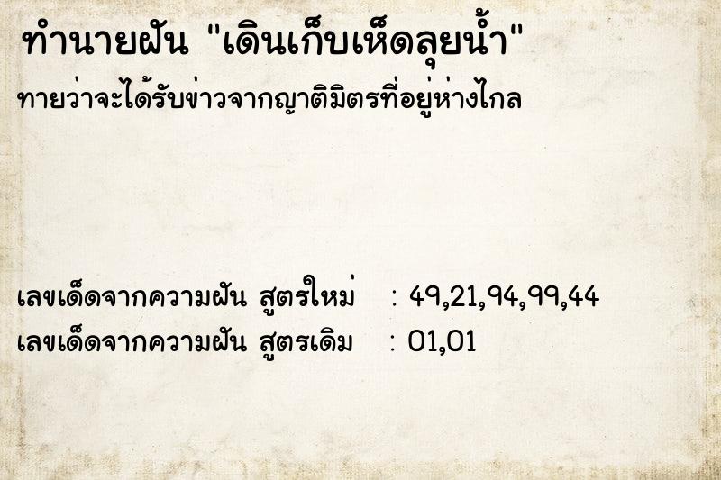 ทำนายฝัน เดินเก็บเห็ดลุยน้ำ ทำนายฝัน เดินเก็บเห็ดลุยน้ำ