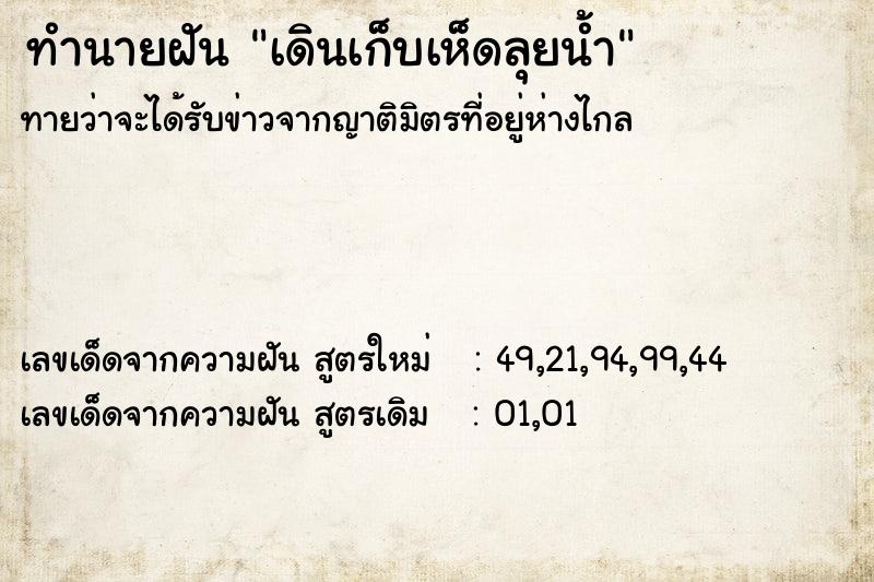 ทำนายฝัน เดินเก็บเห็ดลุยน้ำ ตำราโบราณ แม่นที่สุดในโลก