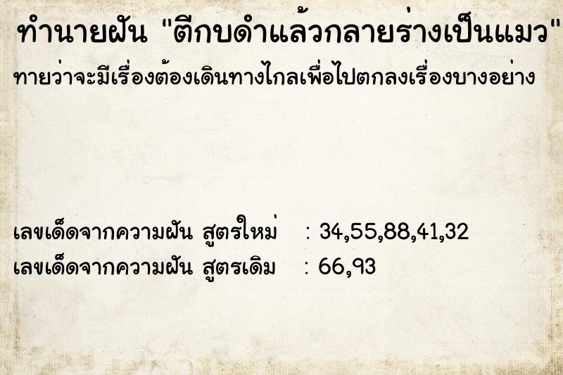 ทำนายฝันตีกบดำแล้วกลายร่างเป็นแมว ทำนายฝันทำนายฝันตีกบดำแล้วกลายร่างเป็นแมว