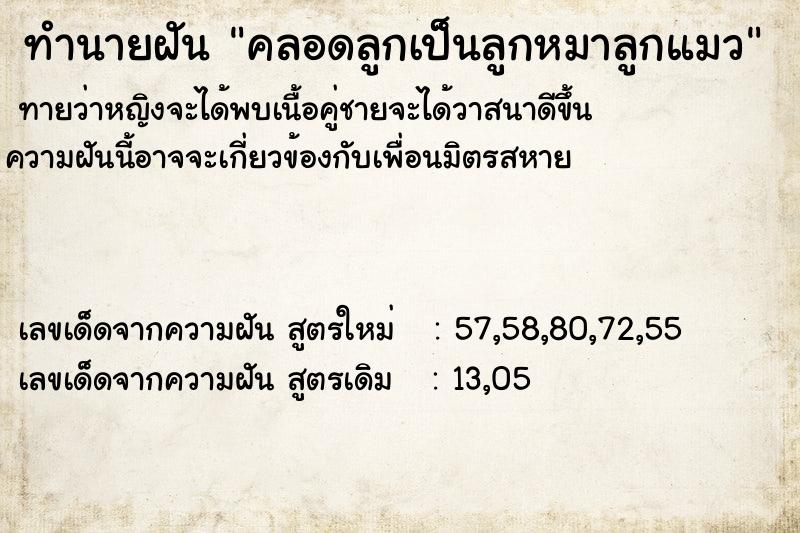 ทำนายฝันคลอดลูกเป็นลูกหมาลูกแมว ทำนายฝันทำนายฝันคลอดลูกเป็นลูกหมาลูกแมว