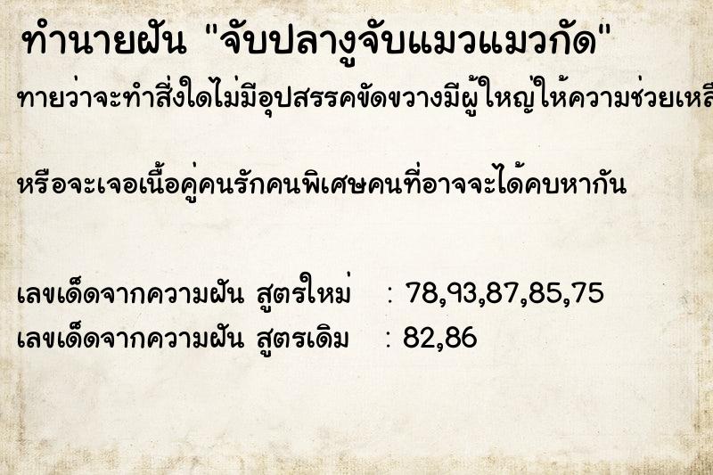 ทำนายฝันจับปลางูจับแมวแมวกัด ทำนายฝันทำนายฝันจับปลางูจับแมวแมวกัด