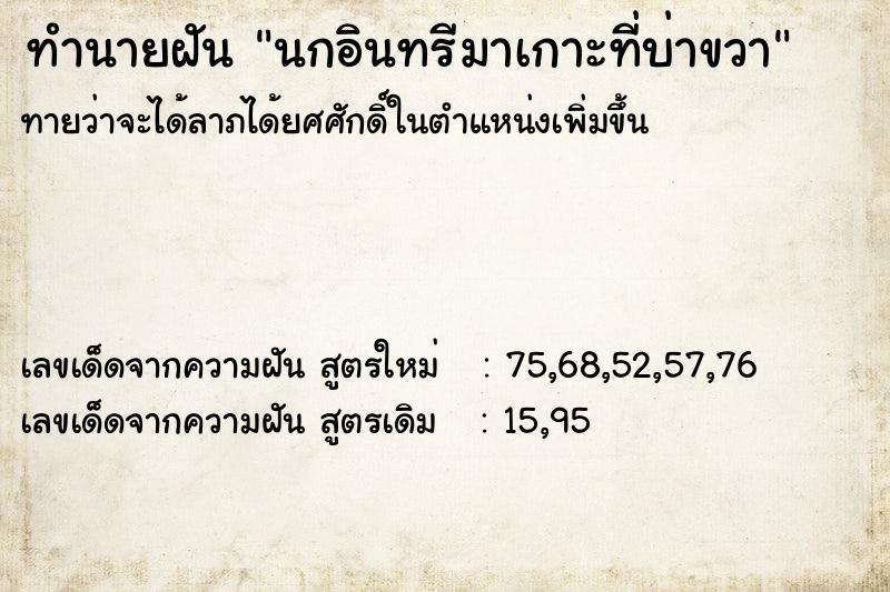 ทำนายฝันนกอินทรีมาเกาะที่บ่าขวา ทำนายฝันทำนายฝันนกอินทรีมาเกาะที่บ่าขวา