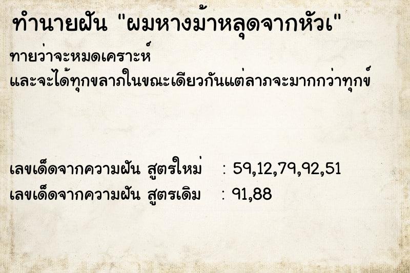 ทำนายฝันผมหางม้าหลุดจากหัวเ ทำนายฝันทำนายฝันผมหางม้าหลุดจากหัวเ