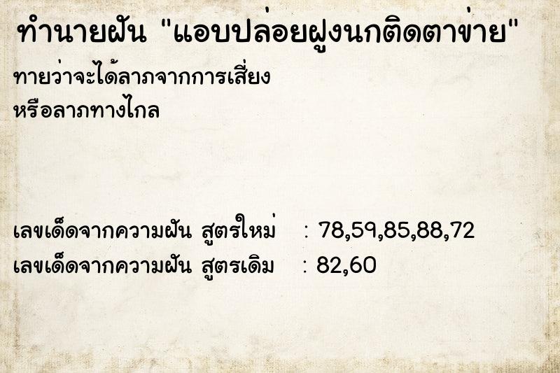 ทำนายฝันทำนายฝันแอบปล่อยฝูงนกติดตาข่าย