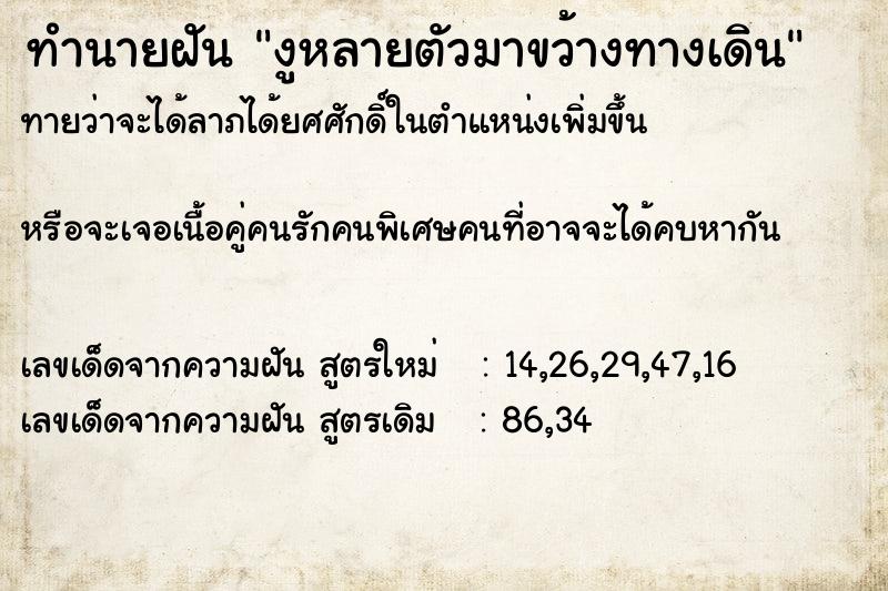 ทำนายฝันงูหลายตัวมาขว้างทางเดิน ทำนายฝันทำนายฝันงูหลายตัวมาขว้างทางเดิน