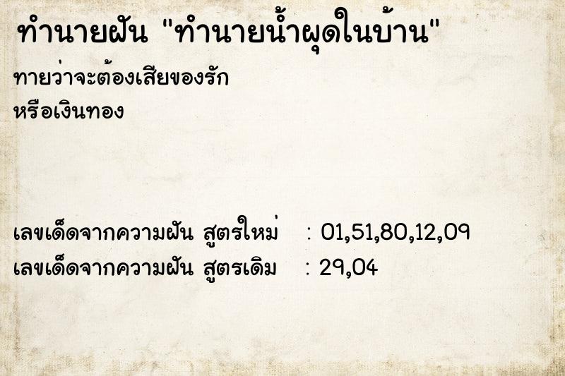 ทำนายฝันทำนายฝันทำนายน้ำผุดในบ้าน