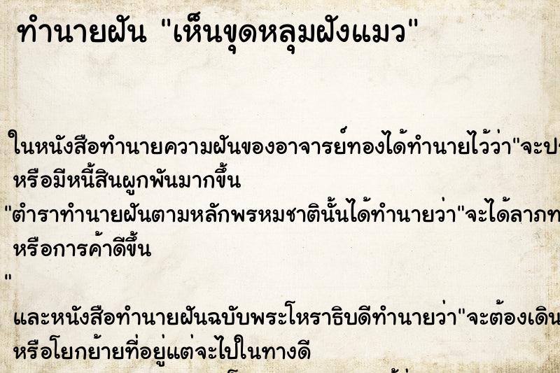 ทำนายฝัน เห็นขุดหลุมฝังแมว ทำนายฝัน เห็นขุดหลุมฝังแมว