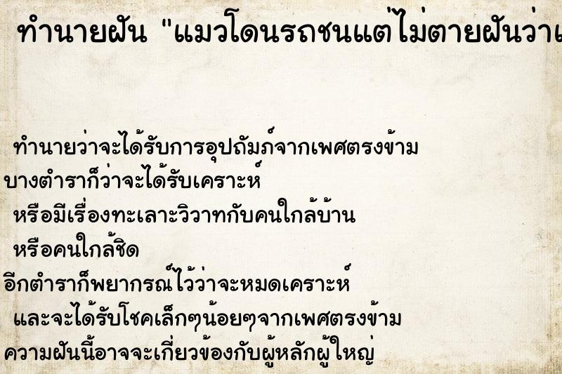 ทำนายฝัน แมวโดนรถชนแต่ไม่ตายฝันว่าแมวโดนรถชนแต่ไม่ตาย ทำนายฝัน แมวโดนรถชนแต่ไม่ตายฝันว่าแมวโดนรถชนแต่ไม่ตาย
