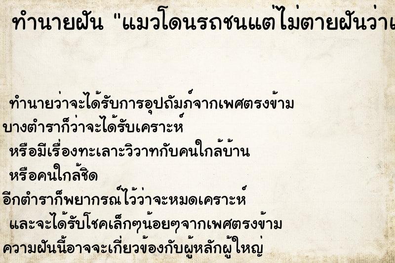 ทำนายฝัน แมวโดนรถชนแต่ไม่ตายฝันว่าแมวโดนรถชนแต่ไม่ตาย ตำราโบราณ แม่นที่สุดในโลก