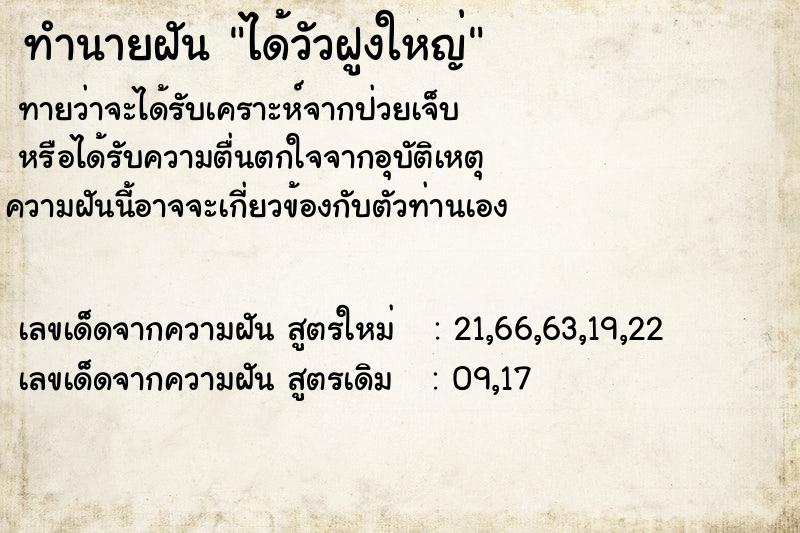ทำนายฝันทำนายฝันได้วัวฝูงใหญ่