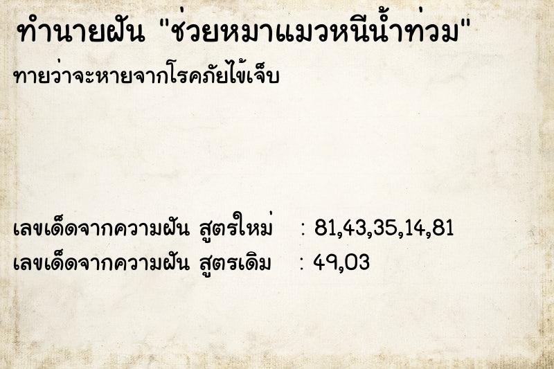 ทำนายฝันช่วยหมาแมวหนีน้ำท่วม ทำนายฝันทำนายฝันช่วยหมาแมวหนีน้ำท่วม