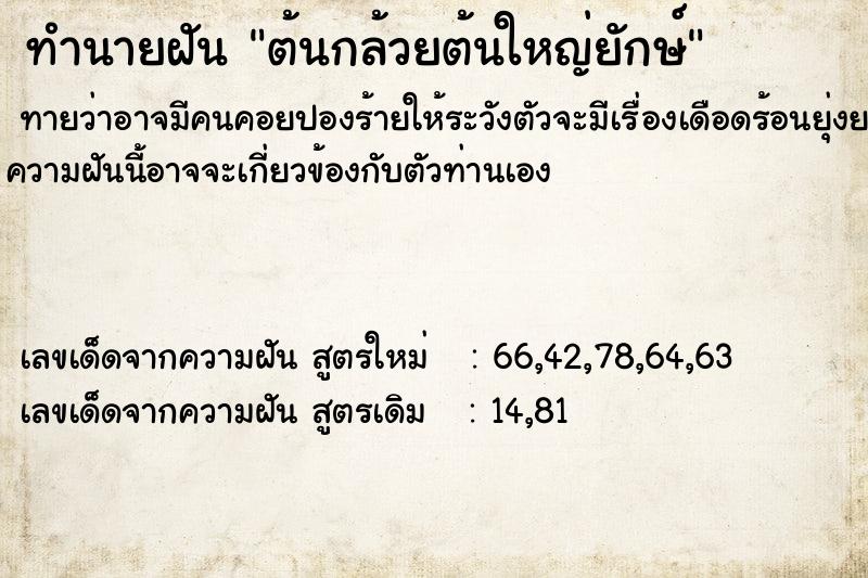 ทำนายฝันต้นกล้วยต้นใหญ่ยักษ์ ทำนายฝันทำนายฝันต้นกล้วยต้นใหญ่ยักษ์