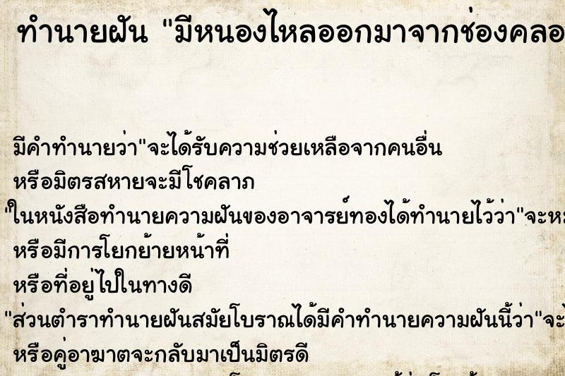 ทำนายฝัน มีหนองไหลออกมาจากช่องคลอดตนเอง ทำนายฝัน มีหนองไหลออกมาจากช่องคลอดตนเอง