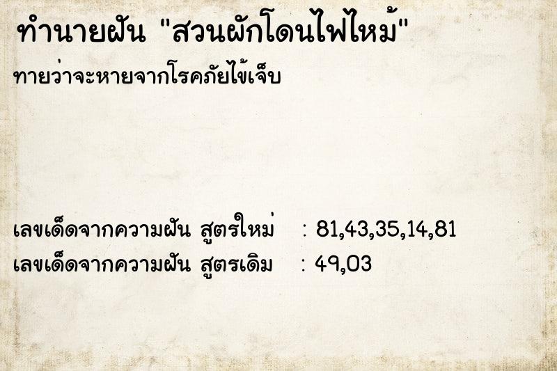 ทำนายฝันทำนายฝันสวนผักโดนไฟไหม้