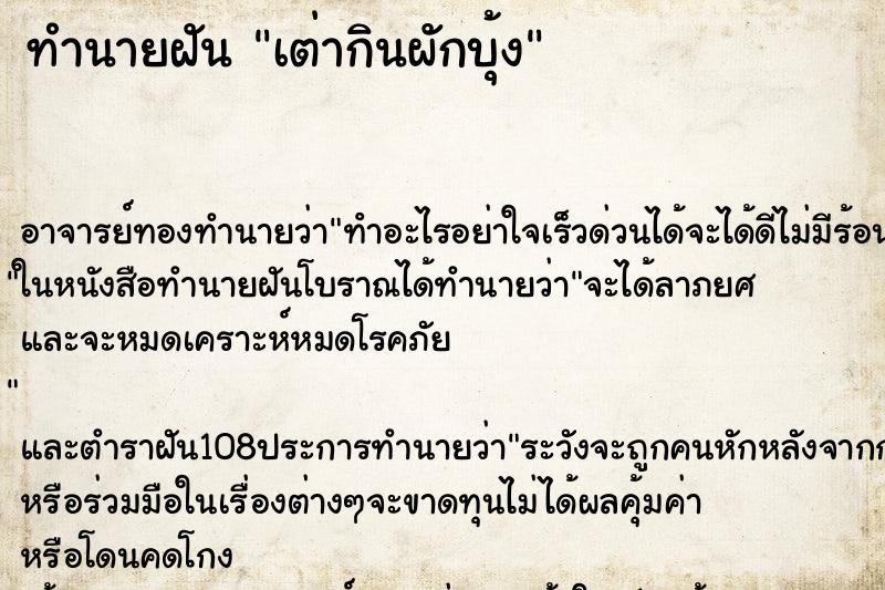 ทำนายฝัน เต่ากินผักบุ้ง