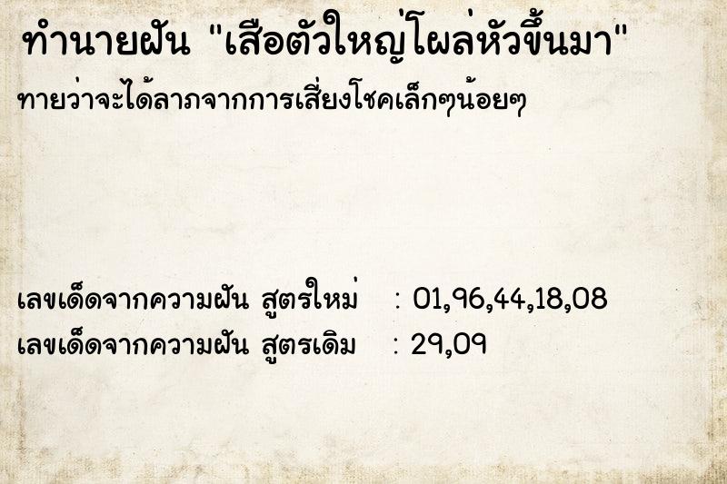 ทำนายฝันทำนายฝันเสือตัวใหญ่โผล่หัวขึ้นมา