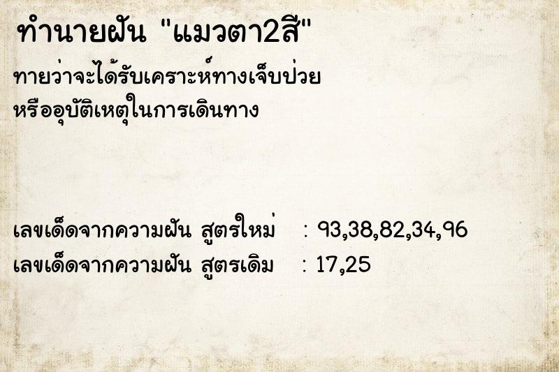 ทำนายฝัน แมวตา2สี ทำนายฝัน แมวตา2สี