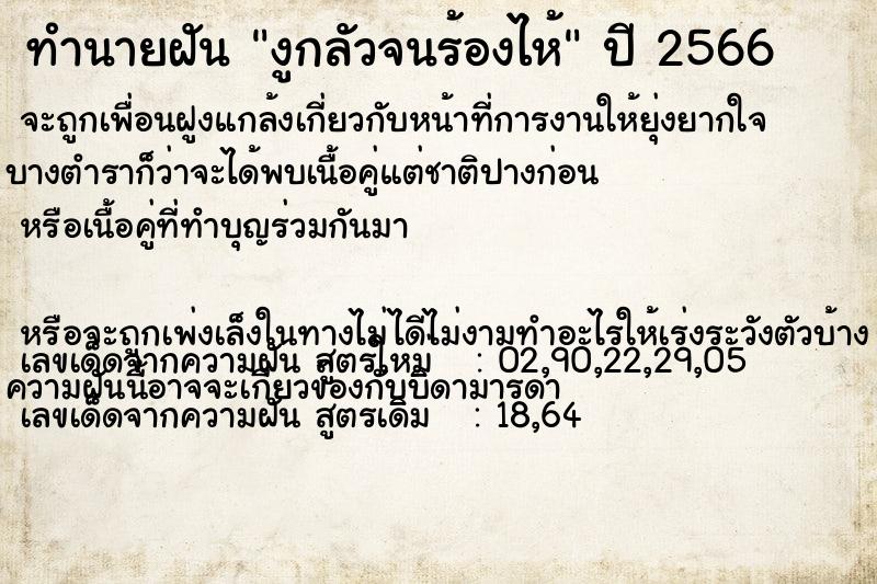 ทำนายฝันงูกลัวจนร้องไห้ ทำนายฝันทำนายฝันงูกลัวจนร้องไห้