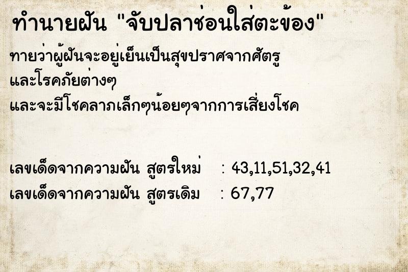 ทำนายฝันจับปลาช่อนใส่ตะข้อง ทำนายฝันทำนายฝันจับปลาช่อนใส่ตะข้อง