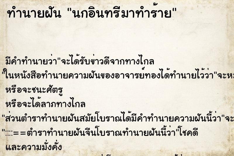 ทำนายฝันนกอินทรีมาทำร้าย ทำนายฝันทำนายฝันนกอินทรีมาทำร้าย