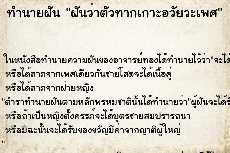 ทำนายฝันทำนายฝันฝันว่าตัวทากเกาะอวัยวะเพศ