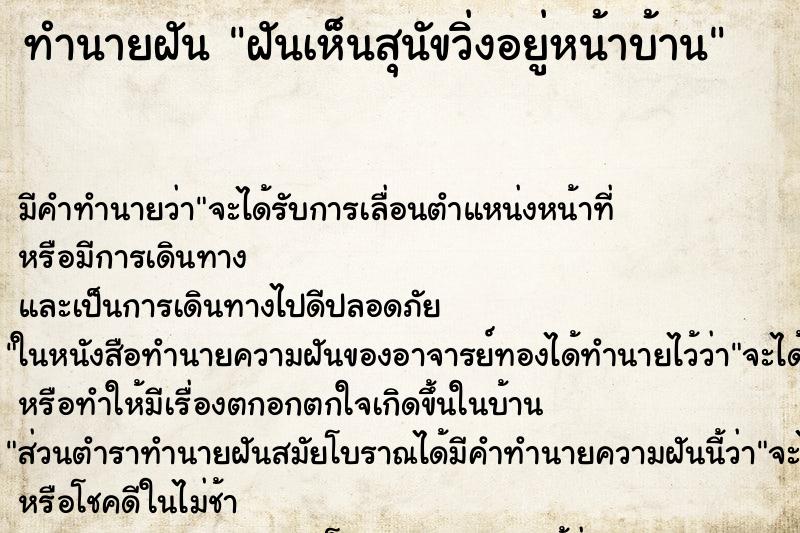 ทำนายฝันฝันเห็นสุนัขวิ่งอยู่หน้าบ้าน ทำนายฝันทำนายฝันฝันเห็นสุนัขวิ่งอยู่หน้าบ้าน