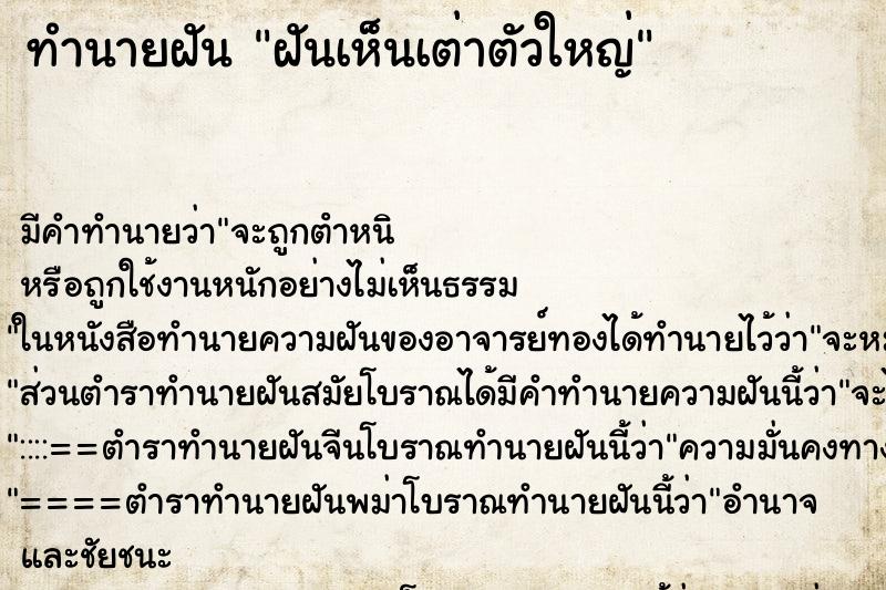 ทำนายฝัน ฝันเห็นเต่าตัวใหญ่ ทำนายฝัน ฝันเห็นเต่าตัวใหญ่