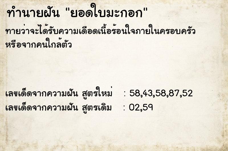 ทำนายฝันทำนายฝันยอดใบมะกอก