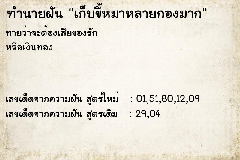 ทำนายฝัน เก็บขี้หมาหลายกองมาก