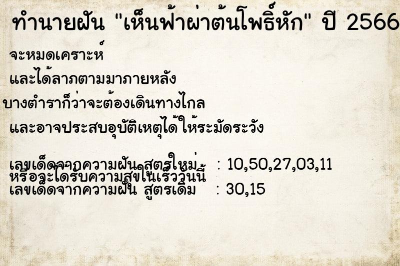 ทำนายฝันทำนายฝันเห็นฟ้าผ่าต้นโพธิ์หัก