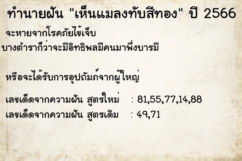 ทำนายฝันทำนายฝันเห็นแมลงทับสีทอง