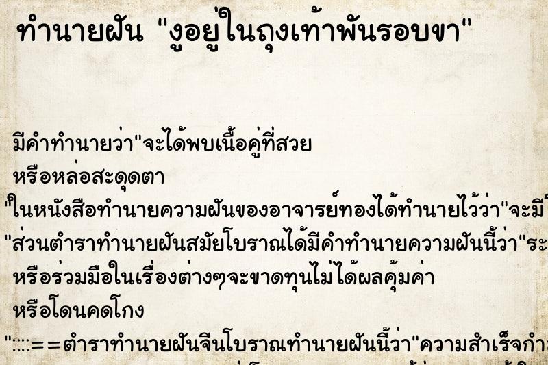 ทำนายฝัน งูอยู่ในถุงเท้าพันรอบขา ทำนายฝัน งูอยู่ในถุงเท้าพันรอบขา