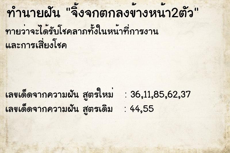 ทำนายฝันจิ้งจกตกลงข้างหน้า2ตัว ทำนายฝันทำนายฝันจิ้งจกตกลงข้างหน้า2ตัว