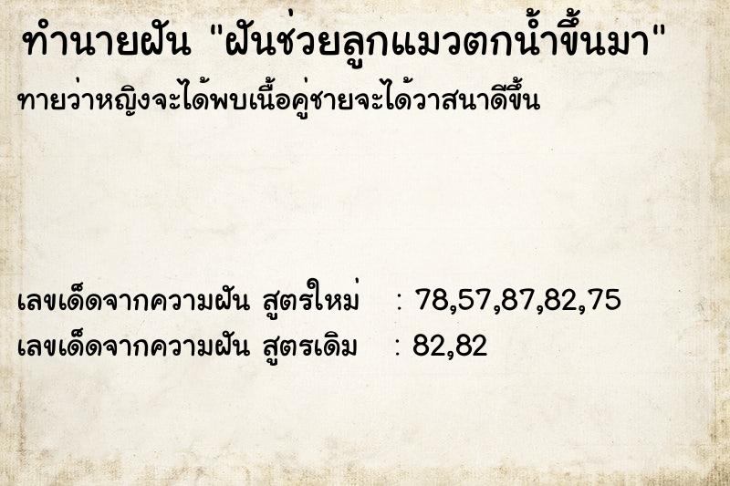 ทำนายฝันฝันช่วยลูกแมวตกน้ำขึ้นมา ทำนายฝันทำนายฝันฝันช่วยลูกแมวตกน้ำขึ้นมา