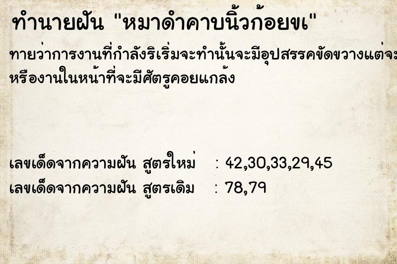 ทำนายฝันทำนายฝันหมาดำคาบนิ้วก้อยขà