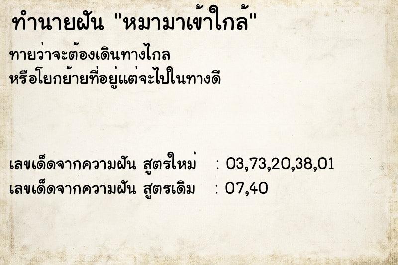 ทำนายฝันหมามาเข้าใกล้ ทำนายฝันทำนายฝันหมามาเข้าใกล้