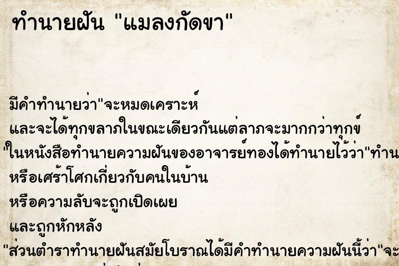 ทำนายฝัน แมลงกัดขา ทำนายฝัน แมลงกัดขา
