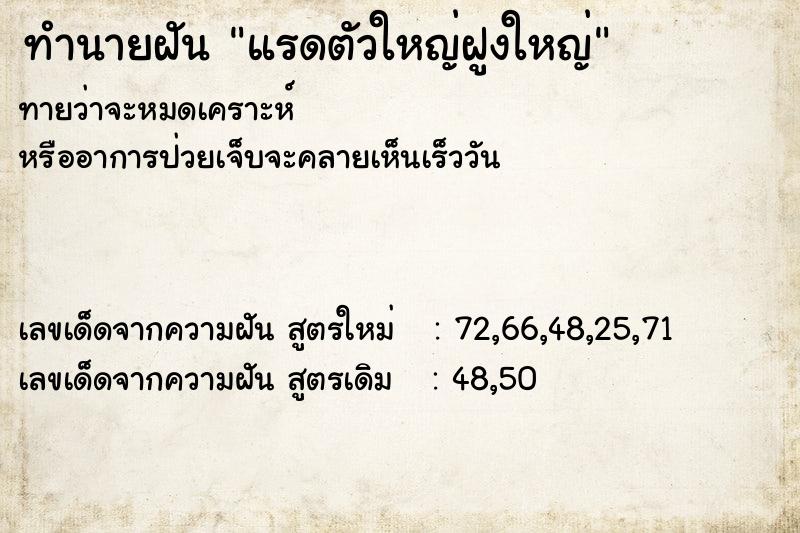 ทำนายฝันแรดตัวใหญ่ฝูงใหญ่ ทำนายฝันทำนายฝันแรดตัวใหญ่ฝูงใหญ่