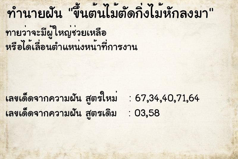 ทำนายฝันทำนายฝันขึ้นต้นไม้ตัดกิ่งไม้หักลงมา