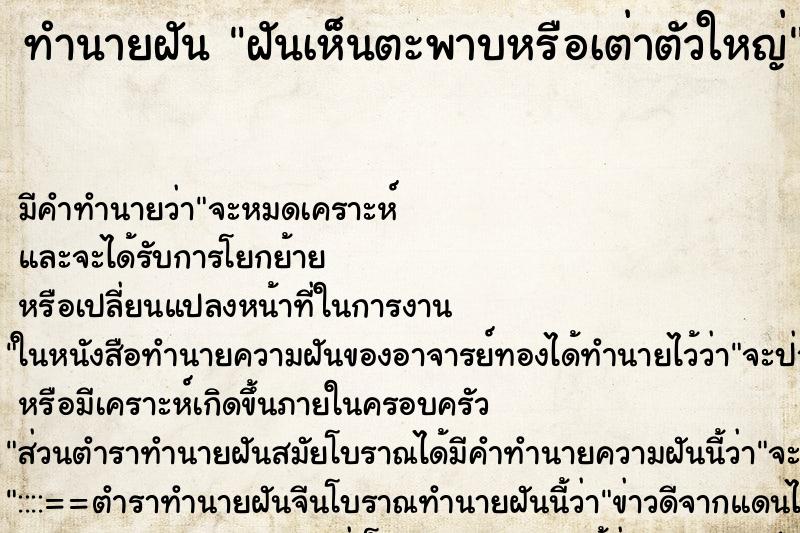 ทำนายฝัน ฝันเห็นตะพาบหรือเต่าตัวใหญ่ ทำนายฝัน ฝันเห็นตะพาบหรือเต่าตัวใหญ่