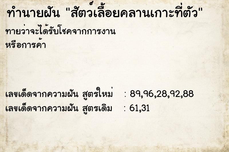ทำนายฝันสัตว์เลื้อยคลานเกาะที่ตัว ทำนายฝันทำนายฝันสัตว์เลื้อยคลานเกาะที่ตัว