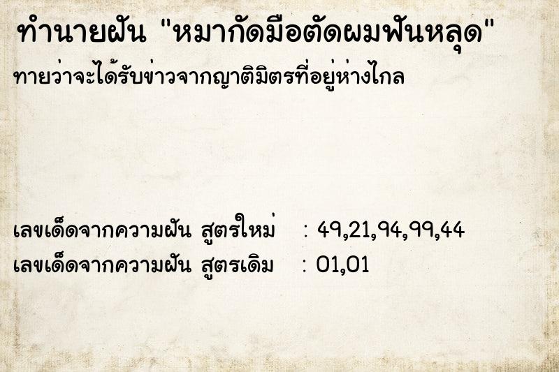 ทำนายฝันหมากัดมือตัดผมฟันหลุด ทำนายฝันทำนายฝันหมากัดมือตัดผมฟันหลุด