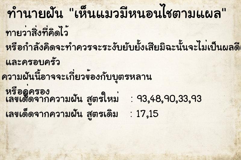 ทำนายฝันเห็นแมวมีหนอนไชตามแผล ทำนายฝันทำนายฝันเห็นแมวมีหนอนไชตามแผล