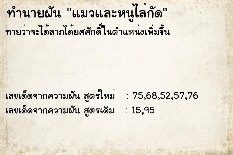 ทำนายฝันทำนายฝันแมวและหนูไล่กัด