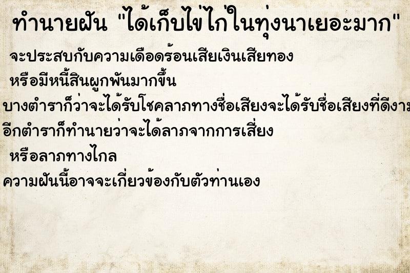 ทำนายฝัน ได้เก็บไข่ไก่ในทุ่งนาเยอะมาก