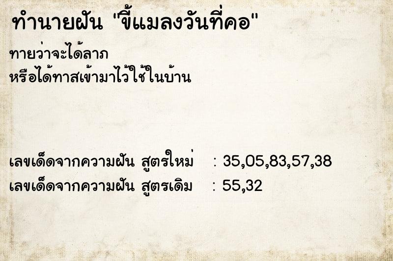 ทำนายฝันทำนายฝันขี้แมลงวันที่คอ