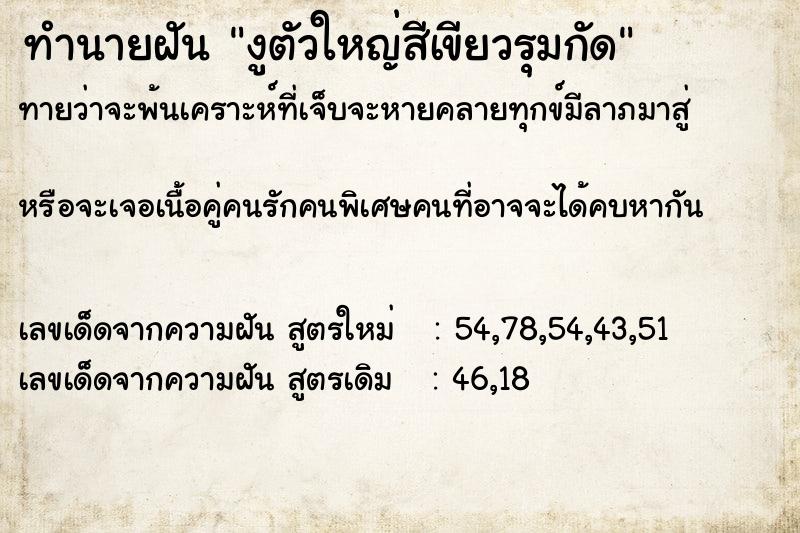 ทำนายฝันงูตัวใหญ่สีเขียวรุมกัด ทำนายฝันทำนายฝันงูตัวใหญ่สีเขียวรุมกัด